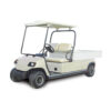 Xe điện LVTONG LT-A2.H2
