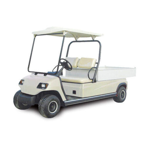 Xe điện LVTONG LT-A2.H2
