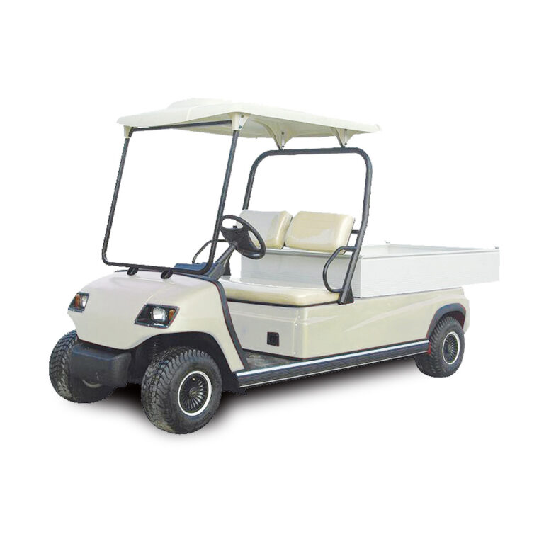 Xe điện LVTONG LT-A2.H2