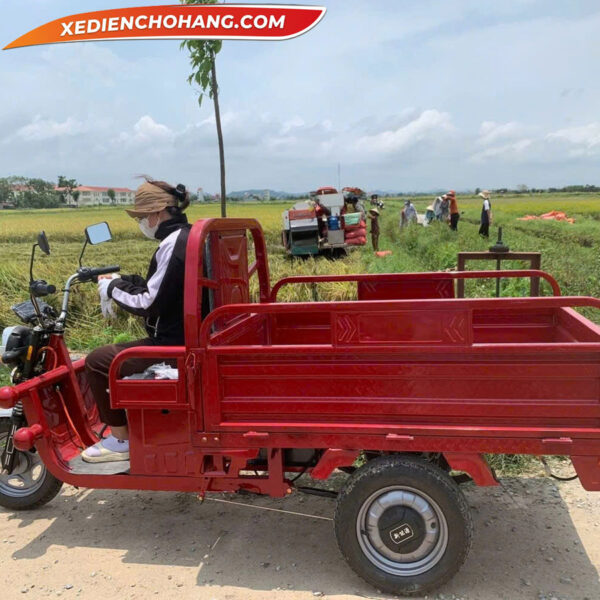 AV500DO Xe Dien 3 Banh Av500 500kg 700kg 900kg Mau Do