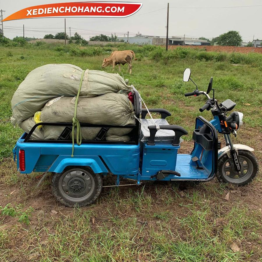 Khám phá các mẫu xe điện chở hàng 3 bánh có khả năng leo dốc mạnh mẽ nhất hiện nay - Xe Điện Chở Hàng EV500DO Xe Dien 3 Banh Ev500 700kg Mau Xanh