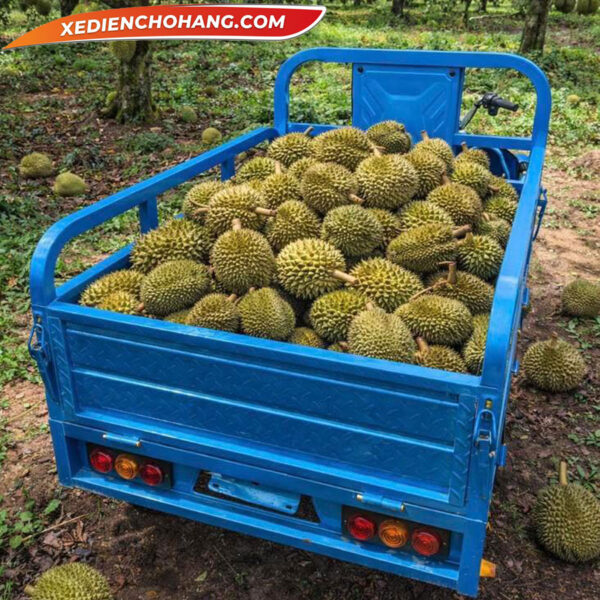 EV500DO Xe Dien 3 Banh Ev500 700kg Mau Xanh
