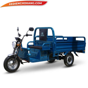 Xe điện 3 bánh Av500 Mau Xanh