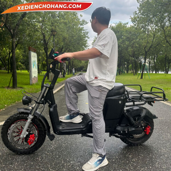 Xe May Dien Cho Hang Giao Hang 1200w 60v70ah