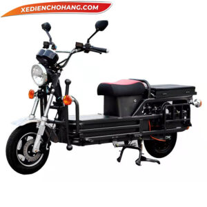 Xe May Dien Cho Hang Giao Hang Electric Pip07
