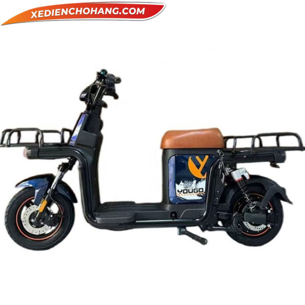 Xe May Dien Cho Hang Giao Hang Pin Lithium 1000w Pip08