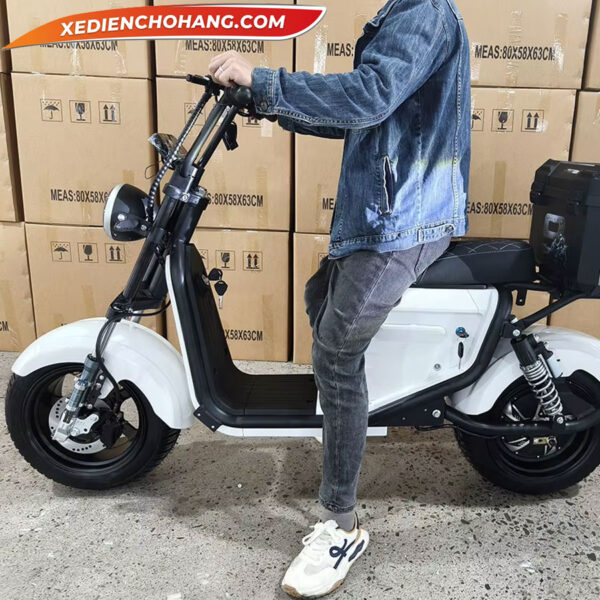Xe May Dien Cho Hang Giao Hang Scooter 2000w3000w
