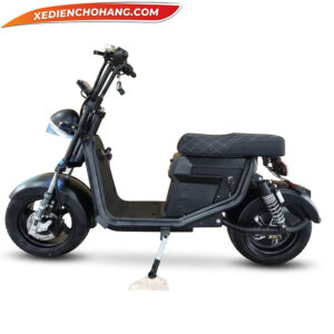 Xe May Dien Cho Hang Giao Hang Scooter 2000w3000w