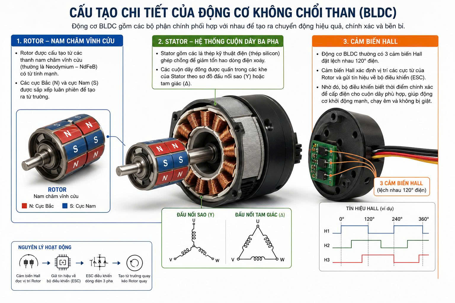 Cấu tạo chi tiết của động cơ không chổi than