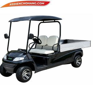 Xe điện 2 chỗ thùng lửng dài LVTONG LT-A617.2.H8