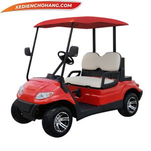 Xe điện sân golf cao cấp 2 chỗ ngồi LT-A617.2G