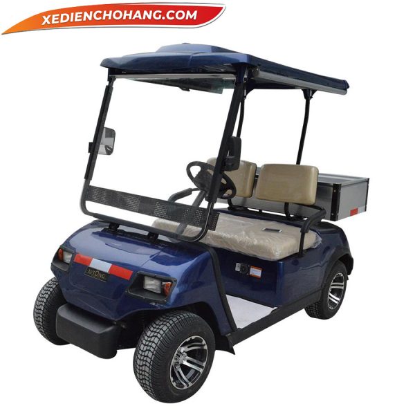 Xe điện sân golf LVTONG 2 chỗ gắn hộp chứa đồ
